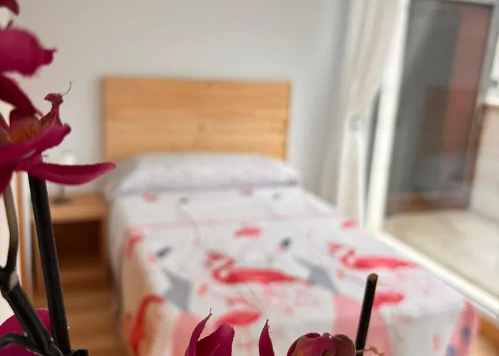 Duplex - Playa Rh 17a *